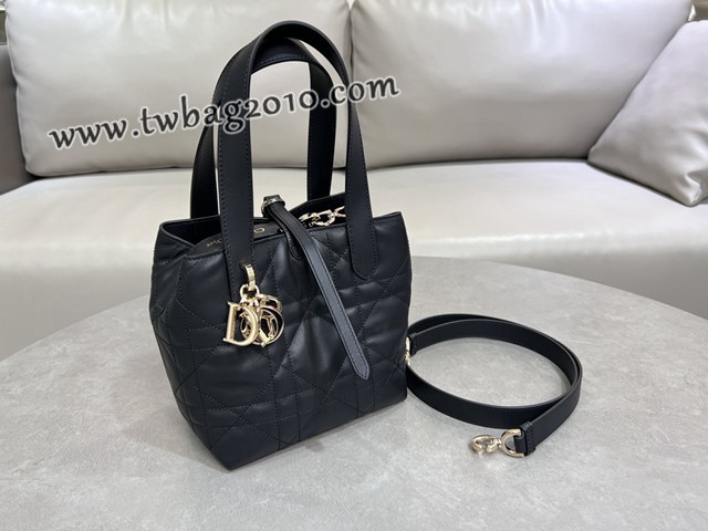 Dior专柜2025新款迪奥高仿原单Toujours竖版手袋牛皮休闲手提女包 djfk1297